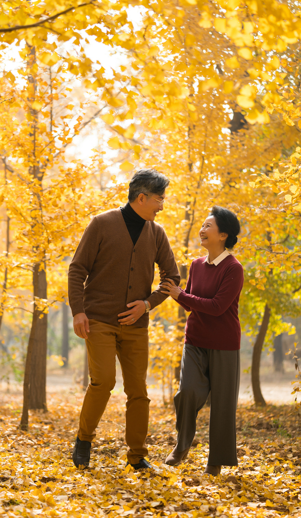 在银杏林散步的老年夫妻