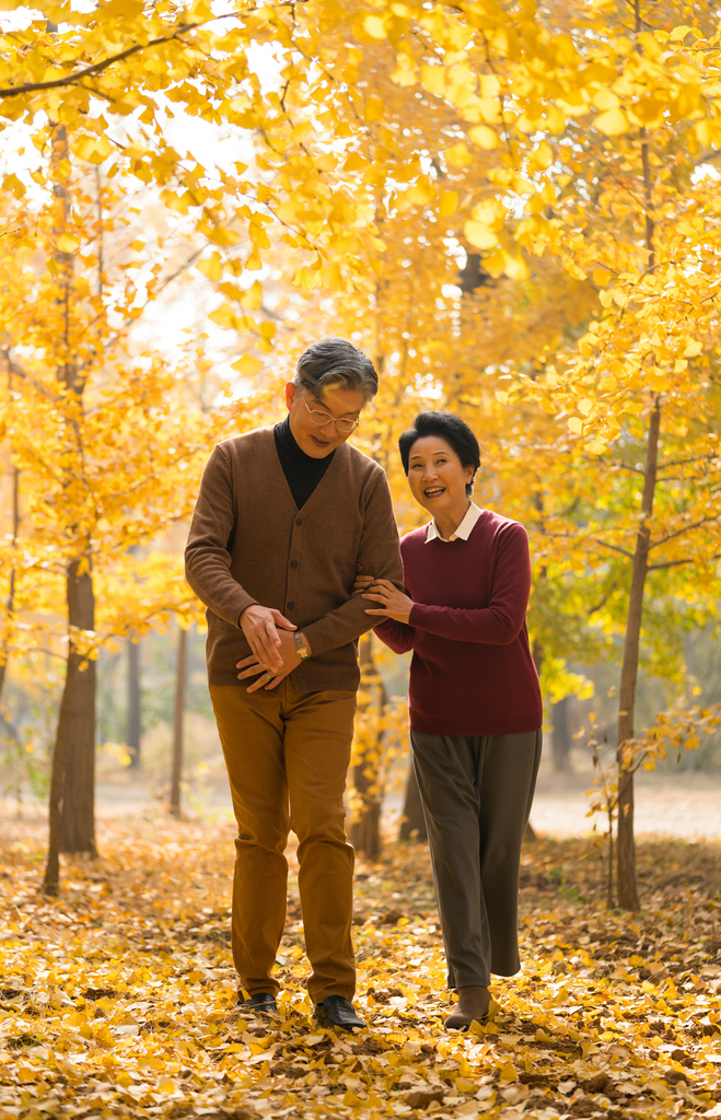 在银杏林散步的老年夫妻