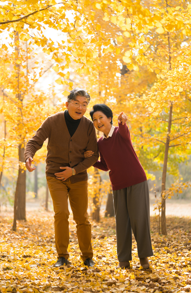 在银杏林散步的老年夫妻