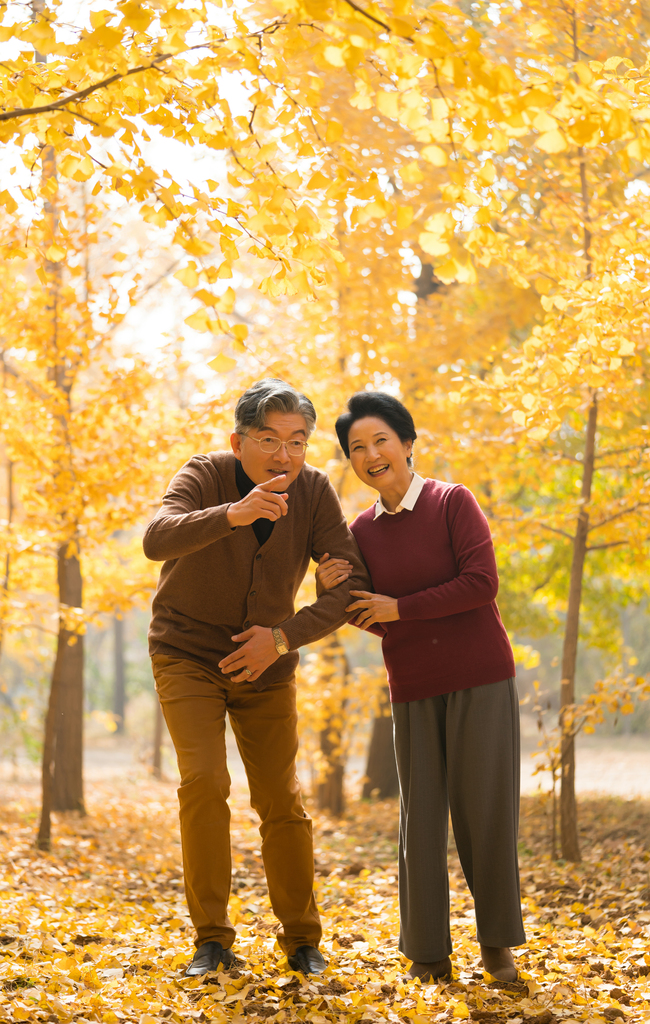 在银杏林散步的老年夫妻图片