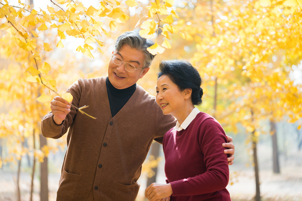 在银杏林散步的老年夫妻