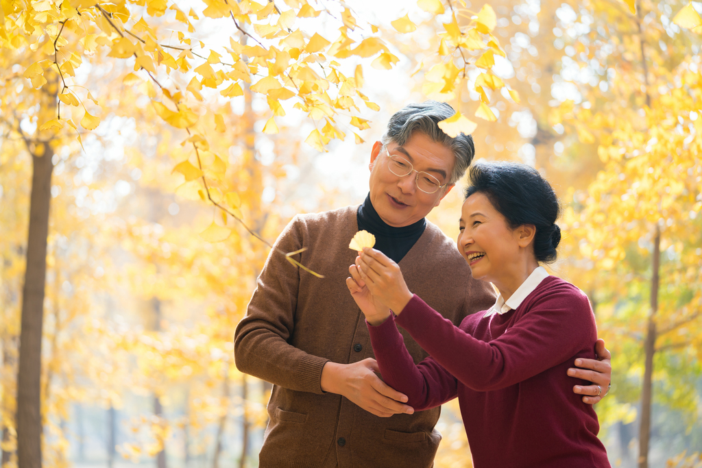 在银杏林散步的老年夫妻图片