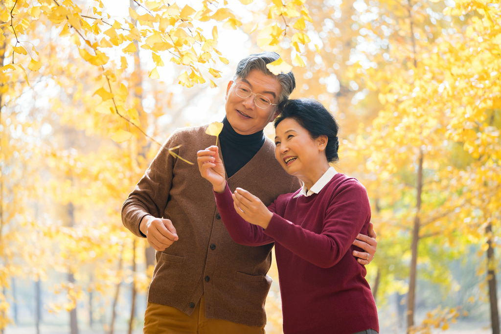 在银杏林散步的老年夫妻图片