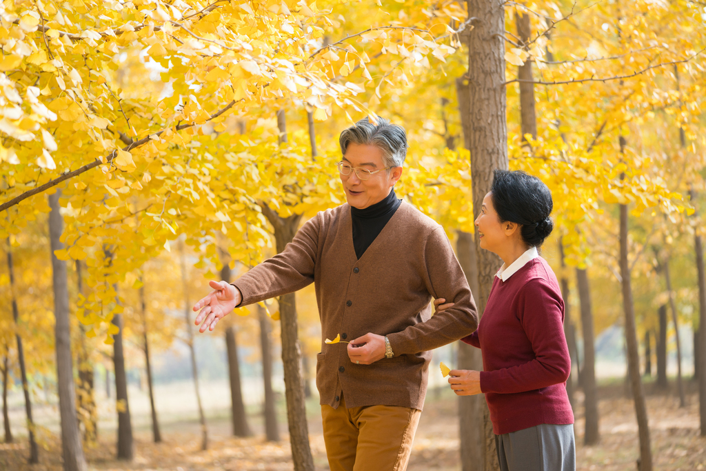 在银杏林散步的老年夫妻