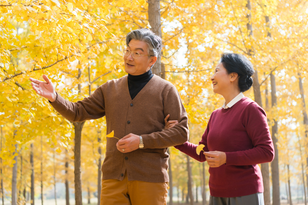 在银杏林散步的老年夫妻