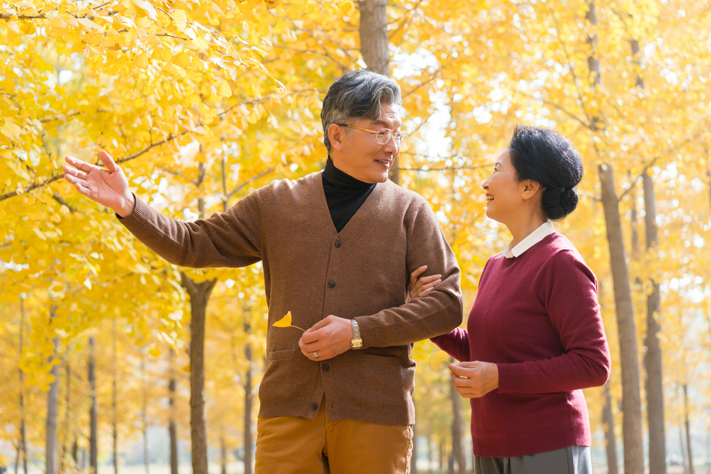 在银杏林散步的老年夫妻图片