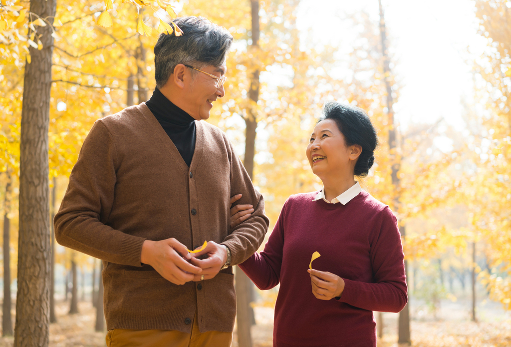 在银杏林散步的老年夫妻