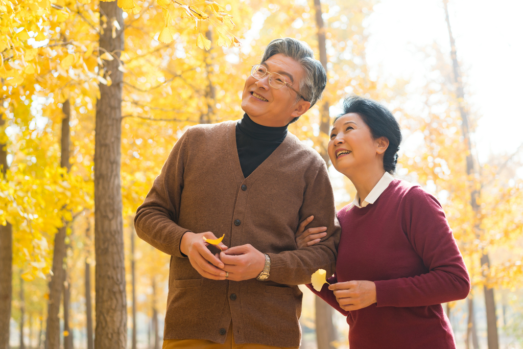 在银杏林散步的老年夫妻