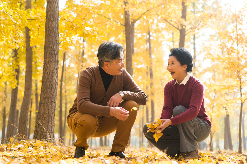 在银杏林散步的老年夫妻