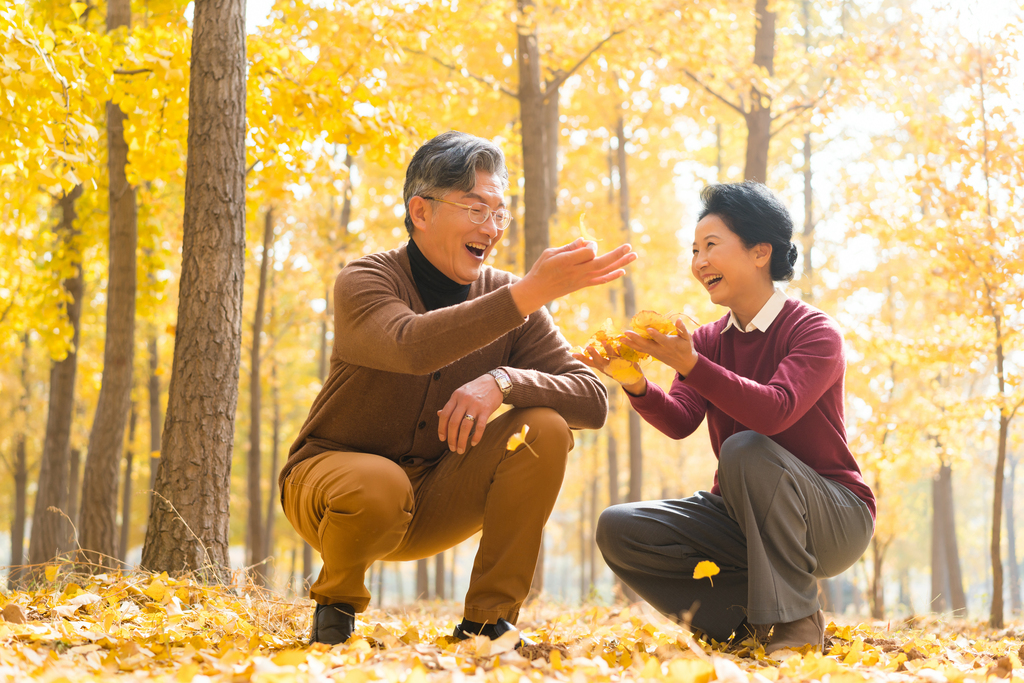 在银杏林散步的老年夫妻