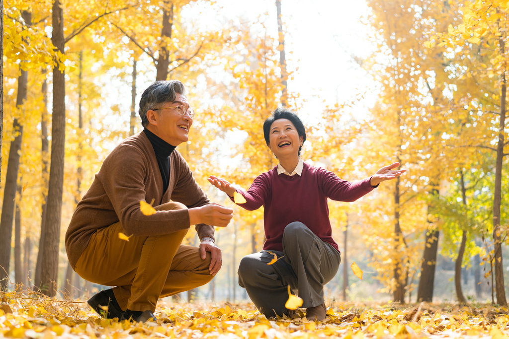 在银杏林散步的老年夫妻