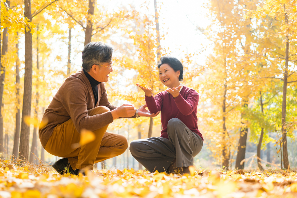 在银杏林散步的老年夫妻图片