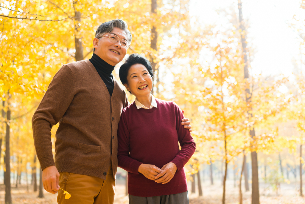 在银杏林散步的老年夫妻