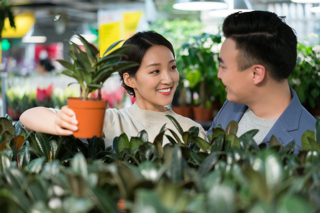 年轻夫妻选购小盆栽图片