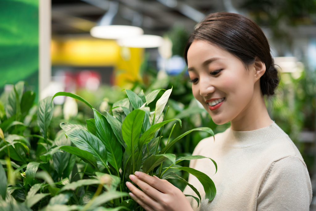 年轻女子选购小盆栽