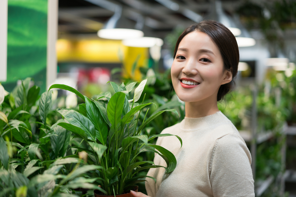 年轻女子选购小盆栽图片