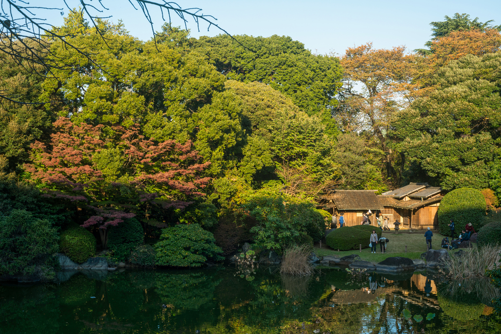 日本东京国立博物馆图片