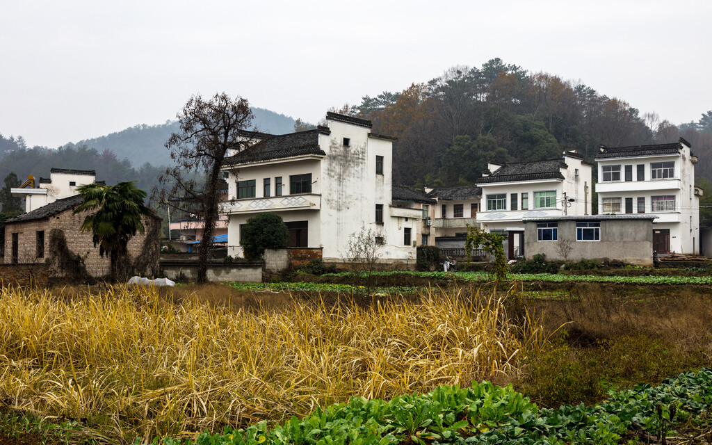 安徽徽州潜口图片