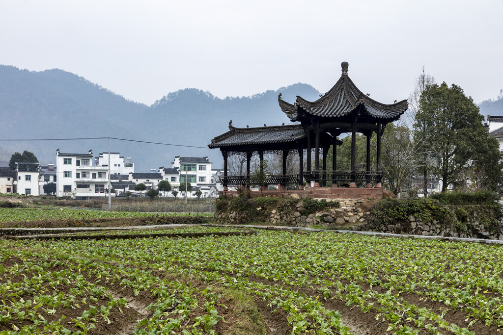 安徽徽州潜口图片