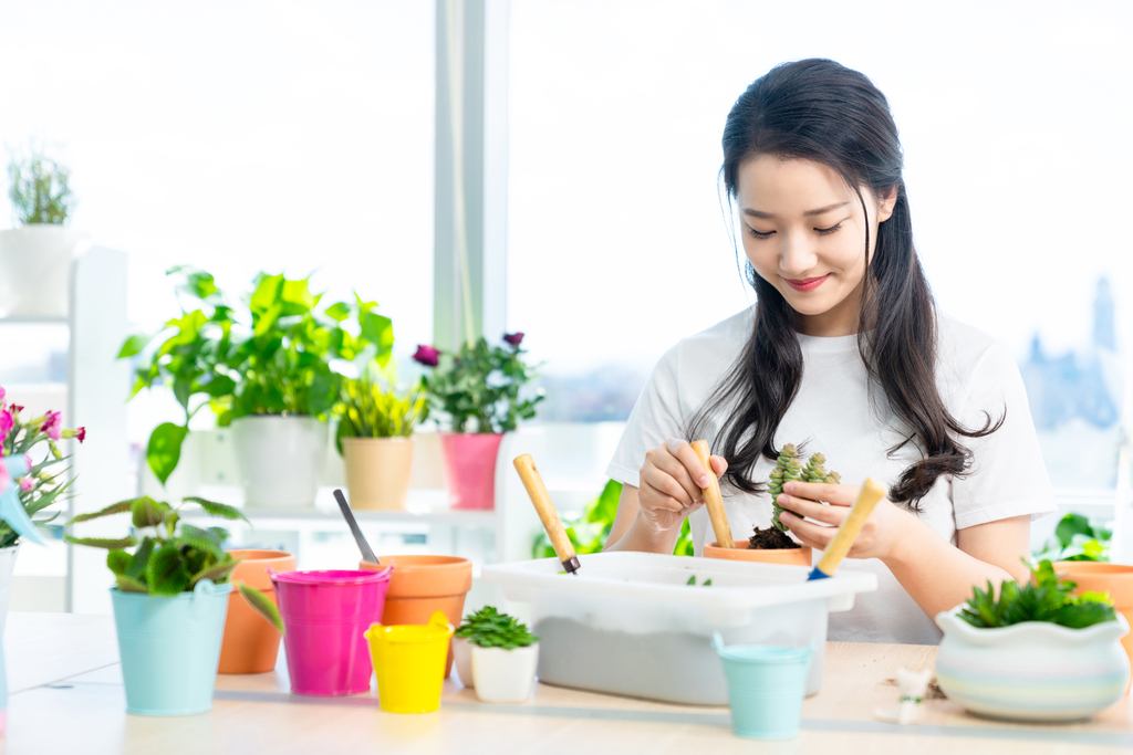 年轻女子在家种植盆栽