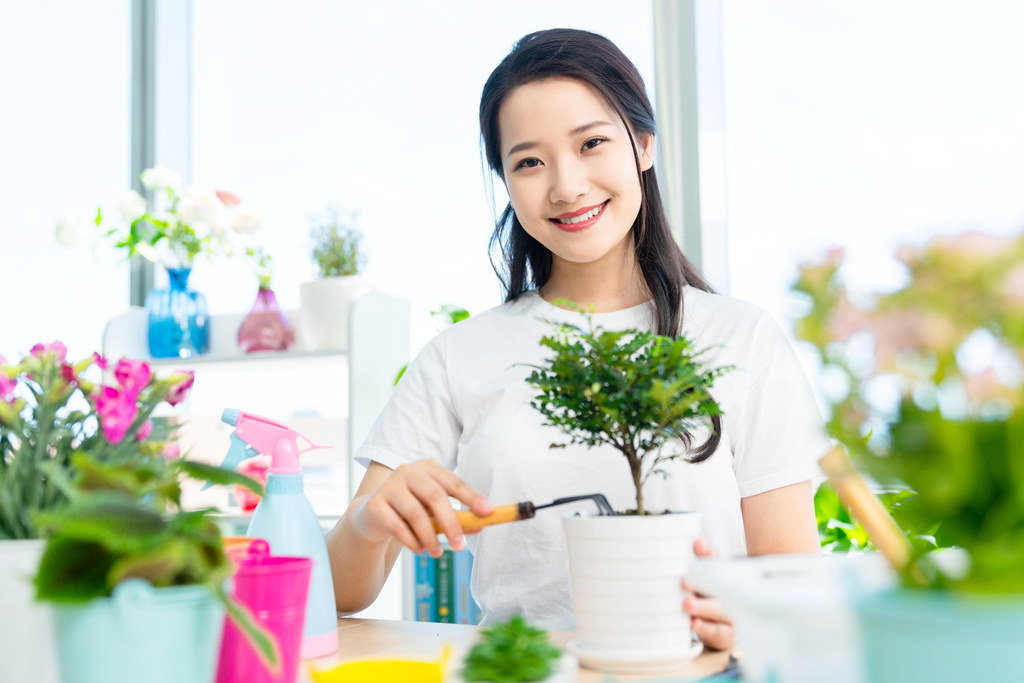 年轻女子在家种植盆栽图片