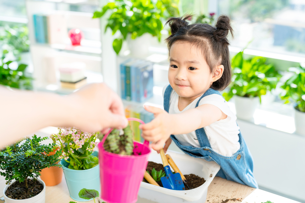 快乐的小女孩在家种植盆栽图片