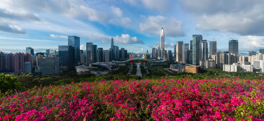 深圳城市风光图片