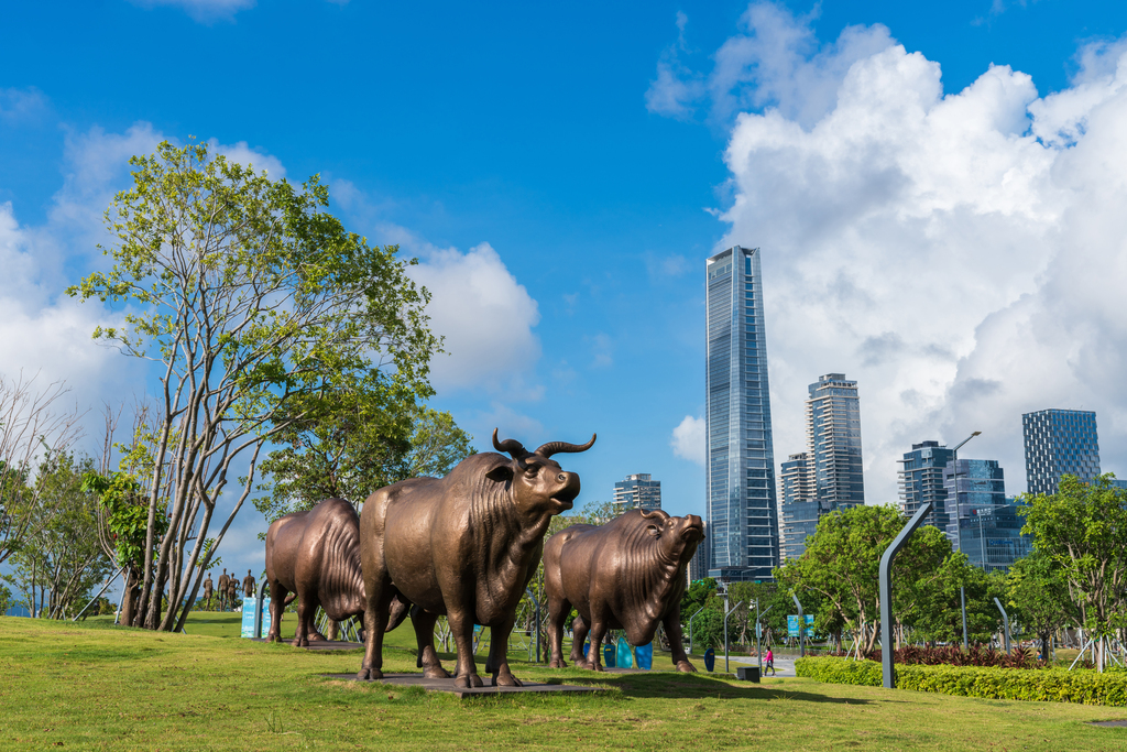 深圳湾公园图片