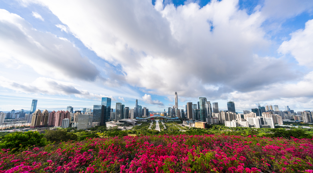 深圳城市风光