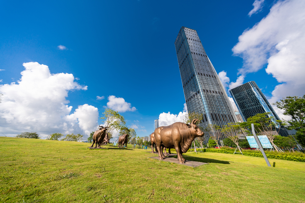 深圳城市风光图片