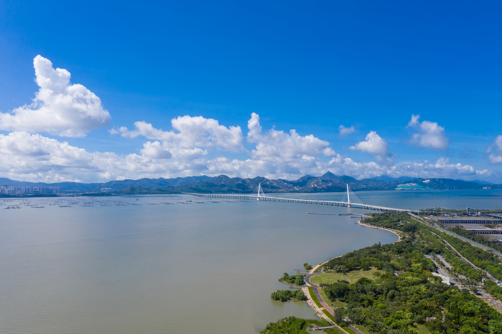 深圳湾风光图片