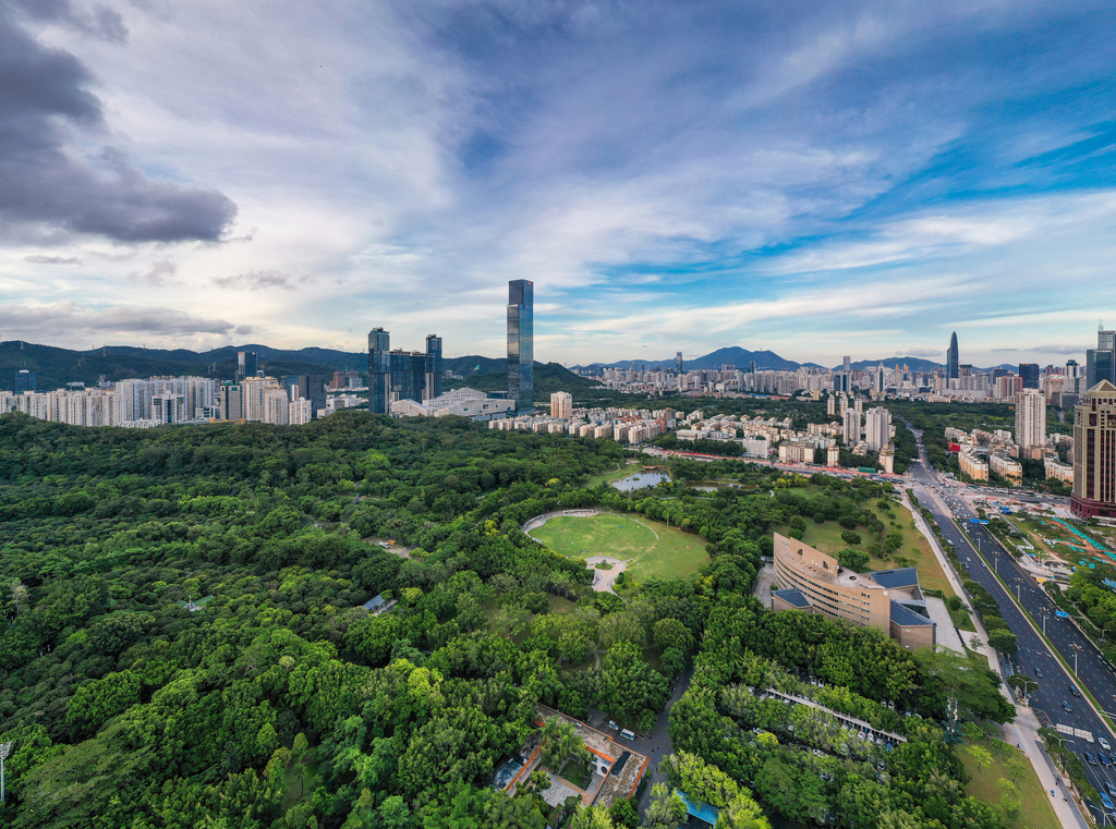 深圳城市风光图片