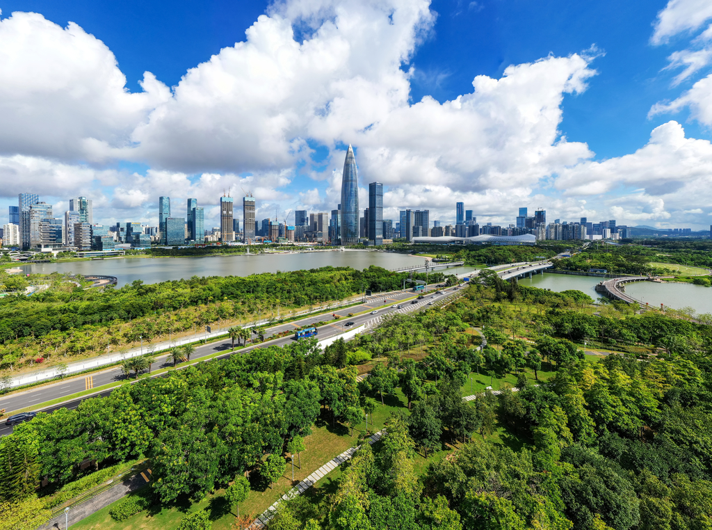 深圳城市风光图片