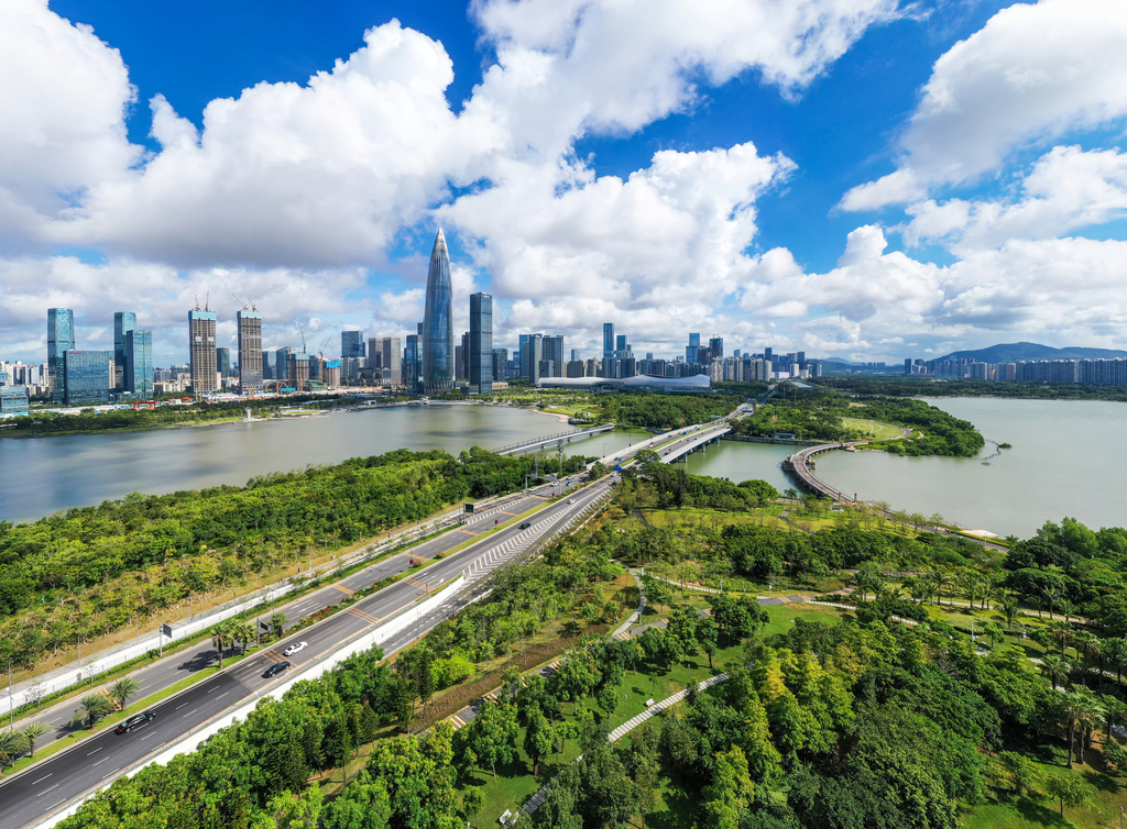 深圳城市风光图片