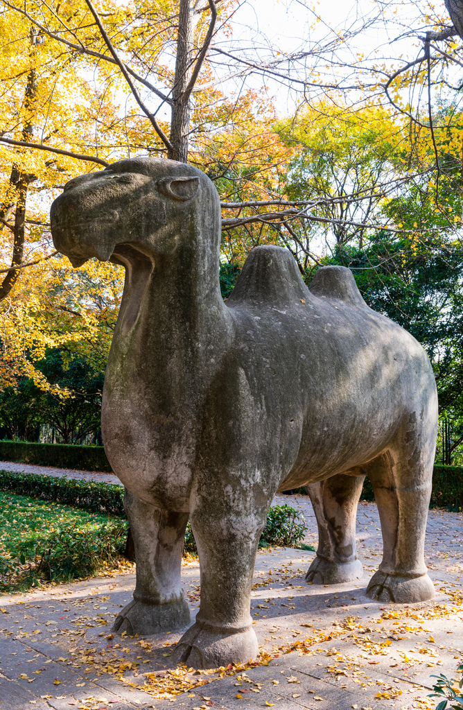 南京明孝陵