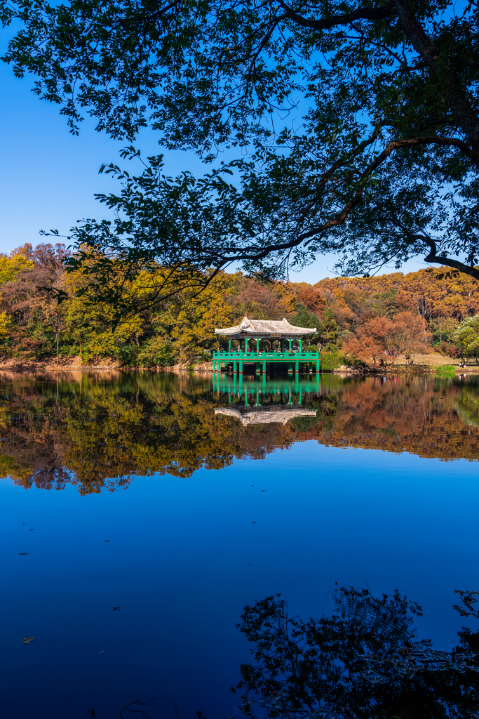 南京中山陵图片