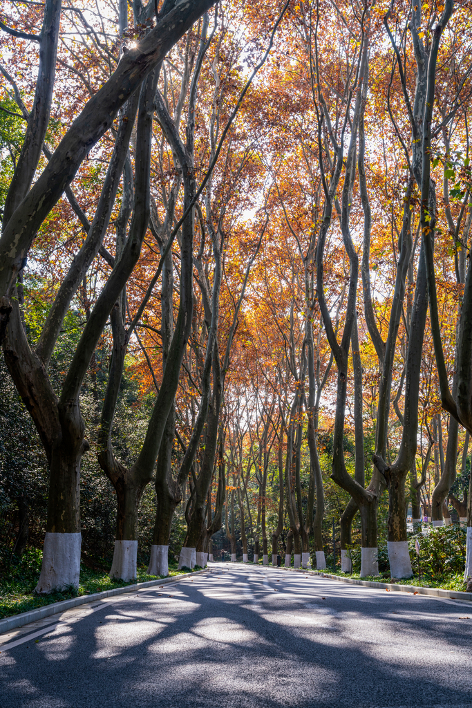 南京中山陵图片