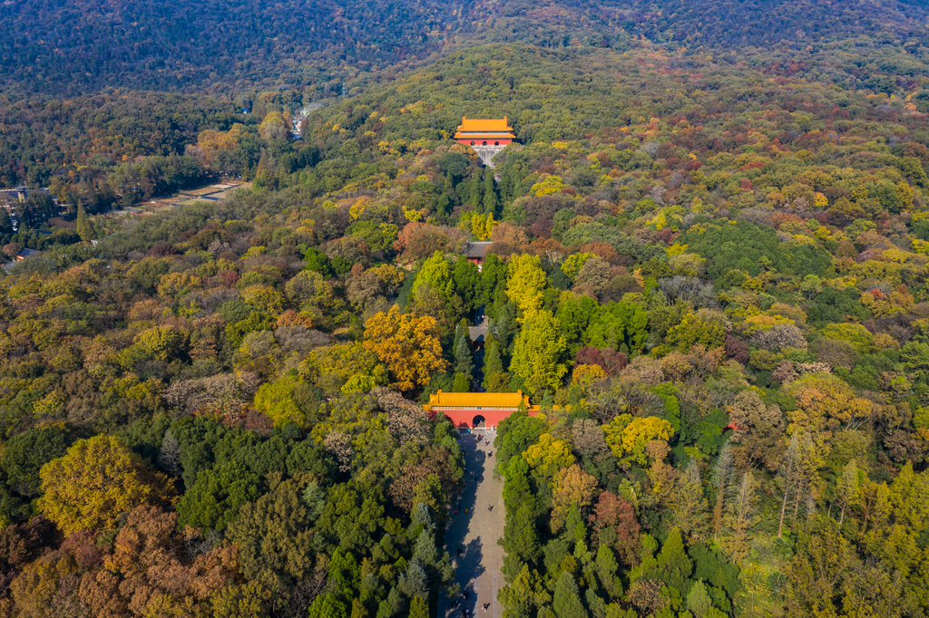 航拍南京明孝陵图片