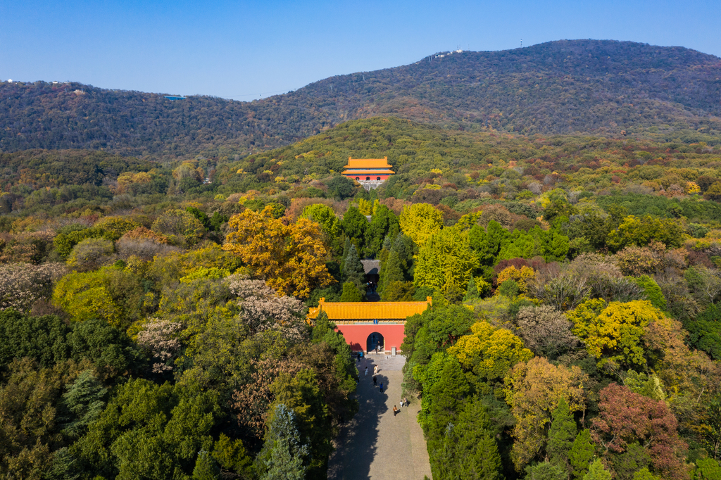 航拍南京明孝陵