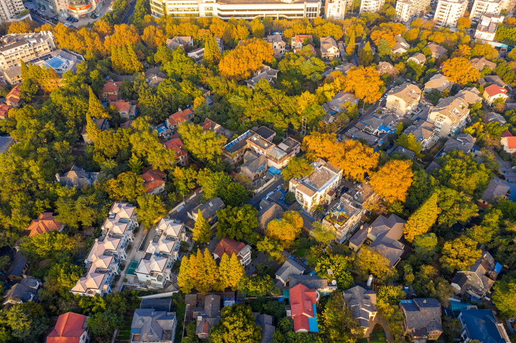 南京颐和路公馆区图片