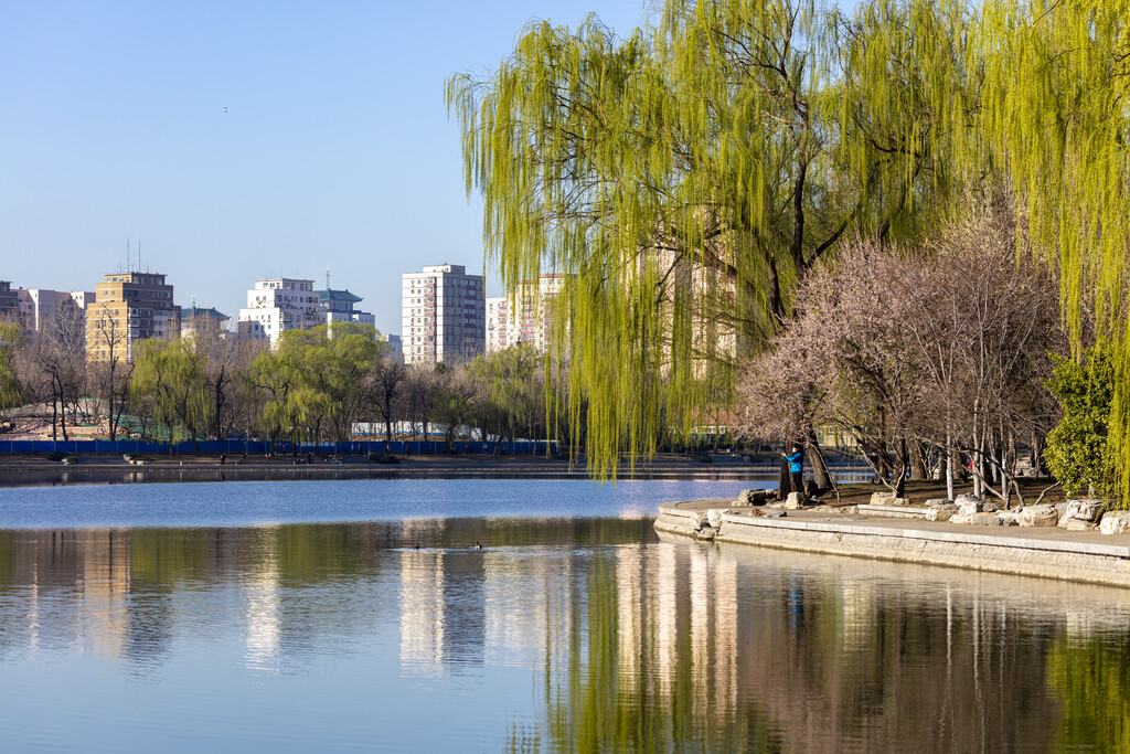 北京玉渊潭公园图片