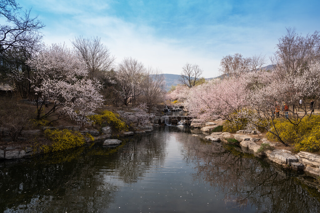 北京植物园图片