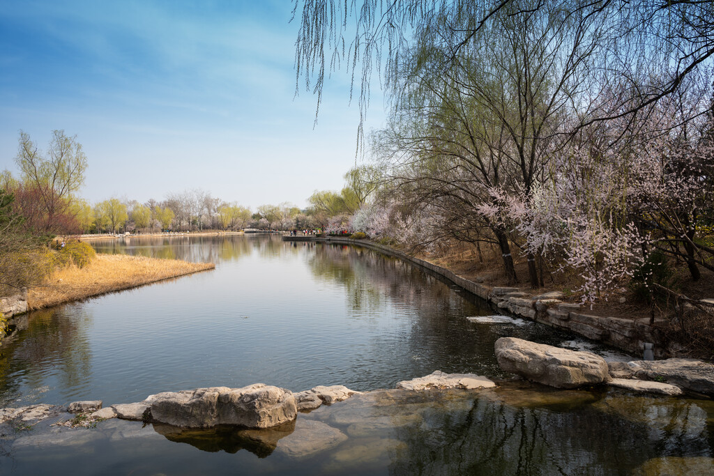 北京植物园图片