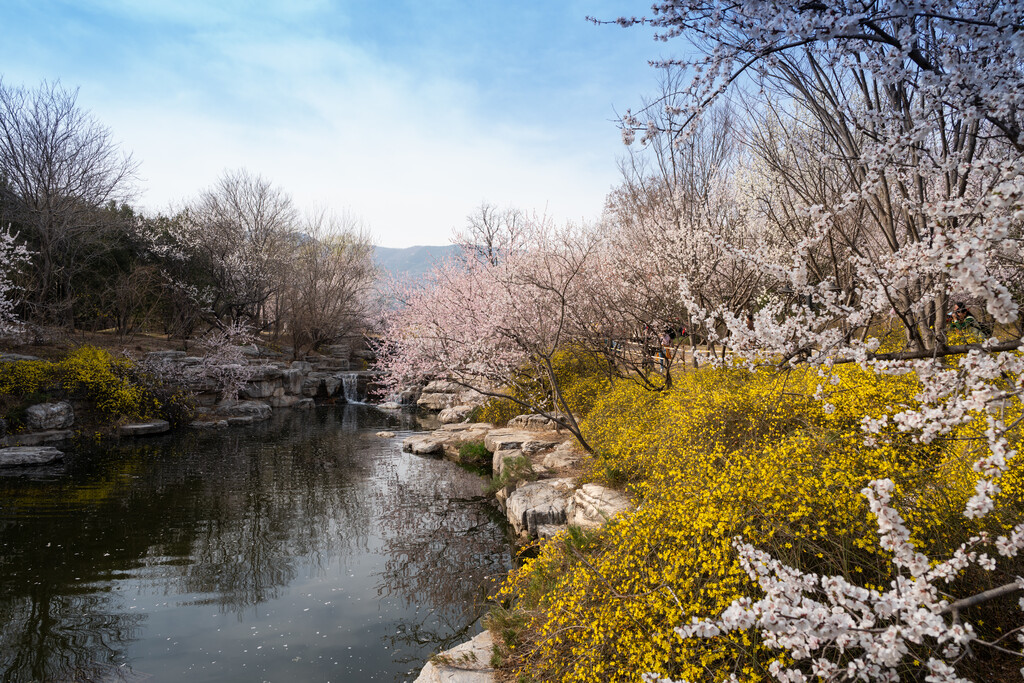 北京植物园图片