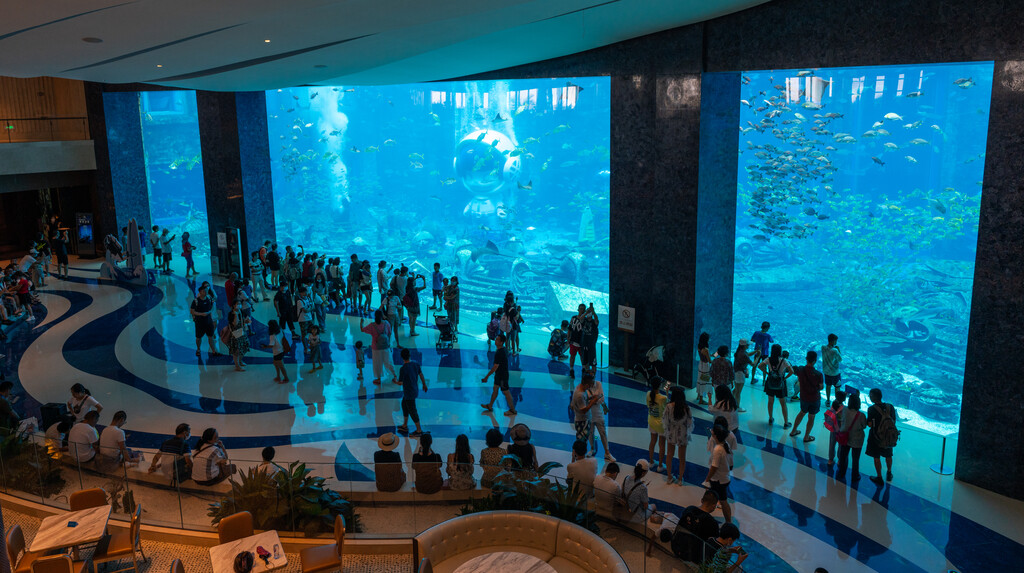 亚特兰蒂斯酒店水族馆图片