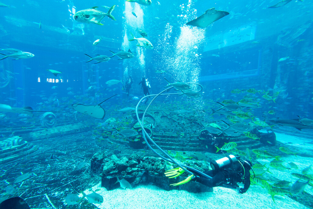 亚特兰蒂斯酒店水族馆