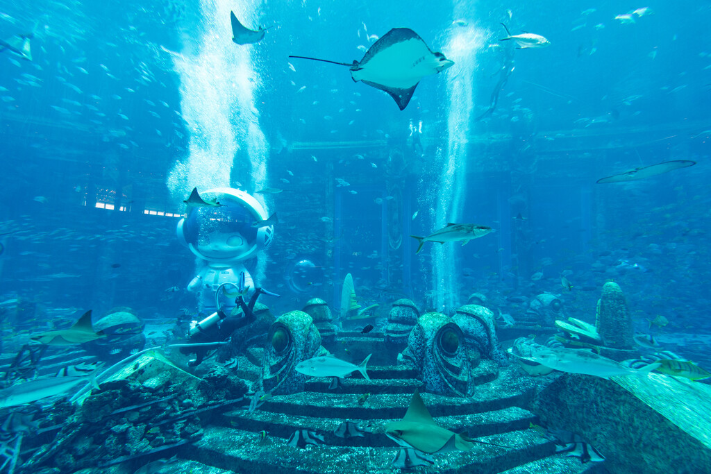 亚特兰蒂斯酒店水族馆图片