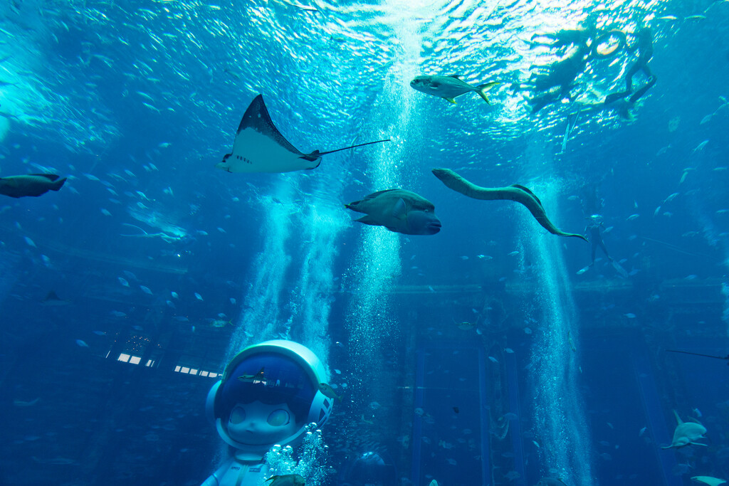 亚特兰蒂斯酒店水族馆