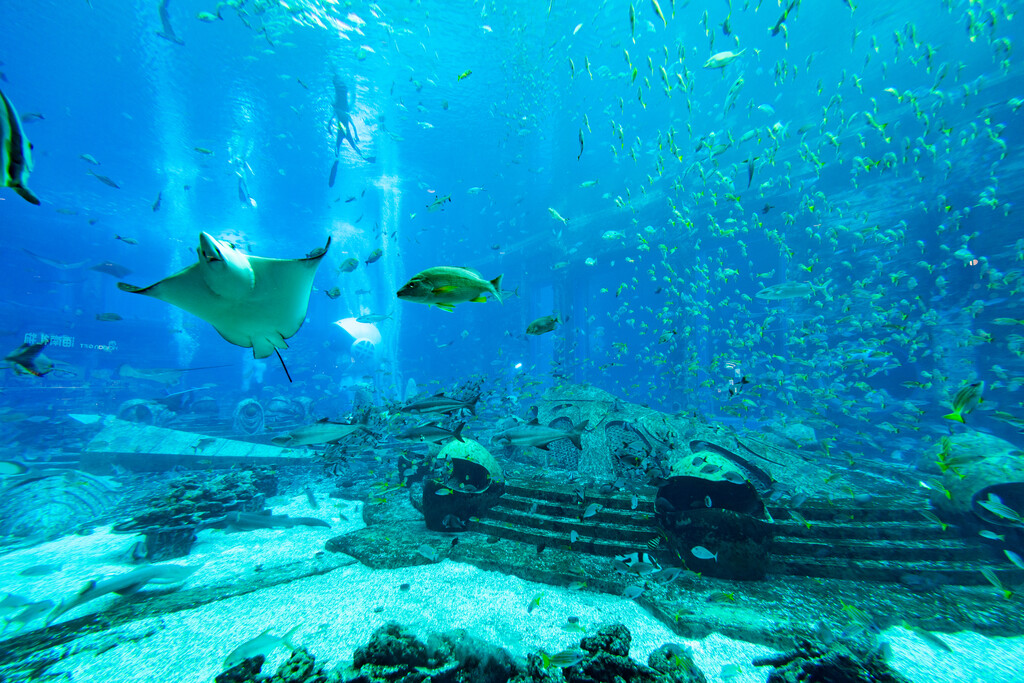 亚特兰蒂斯酒店水族馆图片