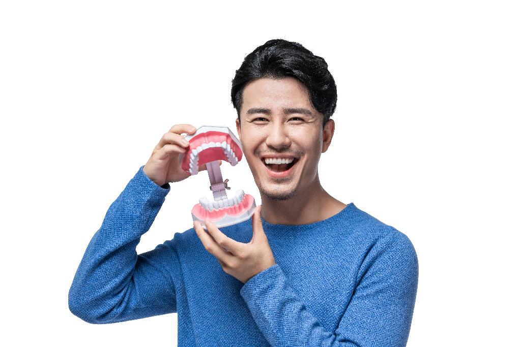 年轻男子拿着牙齿模型图片